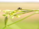 Aparaty cyfrowe: zdj�cia, jaki kupi�, porady : cz. 212 - N2