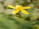 Aparaty cyfrowe: zdj�cia, jaki kupi�, porady : cz. 212 - N2