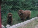 Izolatka | Cela 68 - izolujemy si� ca�odobowo! - maviozo