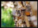 Aparaty cyfrowe: zdj�cia, jaki kupi�, porady : cz. 212 - Narmo