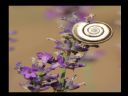 Aparaty cyfrowe: zdj�cia, jaki kupi�, porady : cz. 213 - Deton