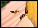 Aparaty cyfrowe: zdj�cia, jaki kupi�, porady : cz. 213 - Narmo