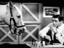 Jaki to serial? - part II - r_ADM