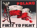 Czy byby wstanie odda ycie za obron polskiej flagi? - Cytryniak