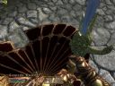 The Elder Scrolls IV: Oblivion (42)  - Punisher1