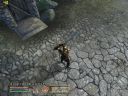 The Elder Scrolls IV: Oblivion (42)  - Punisher1