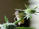 Aparaty cyfrowe: zdj�cia, jaki kupi�, porady : cz. 214 - Yog-Sothoth