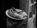 Filmo�ercy - jaki to film? :::kadr 389:::  - Enc0re