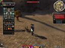 Guild Wars | W�tek Oficjalny | Cz�� 100 - No to nam stukn�o... - Piotrasq