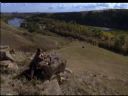 Filmo�ercy - jaki to film? :::kadr 395:::  - Enc0re