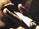 O jaki album mi chodzi? - Royal_Flush