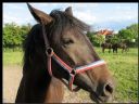 Aparaty cyfrowe: zdj�cia, jaki kupi�, porady : cz. 195 - Jelithe