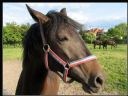 Aparaty cyfrowe: zdj�cia, jaki kupi�, porady : cz. 195 - Jelithe