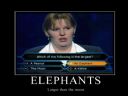 Americans are "not" stupid - Roko