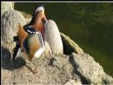 Aparaty cyfrowe: zdj�cia, jaki kupi�, porady : cz. 195 - hctkko.