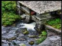 Aparaty cyfrowe: zdj�cia, jaki kupi�, porady : cz. 195 - ResOOrt