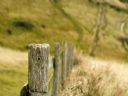 Aparaty cyfrowe: zdj�cia, jaki kupi�, porady : cz. 195 - Boroova