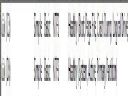 W�tek o Windows Vista cz. 14 - adamb6