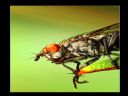 Aparaty cyfrowe: zdj�cia, jaki kupi�, porady : cz. 214 - ResOOrt