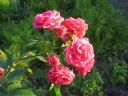 Aparaty cyfrowe: zdj�cia, jaki kupi�, porady : cz. 214 - Saage