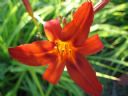 Aparaty cyfrowe: zdj�cia, jaki kupi�, porady : cz. 214 - Saage