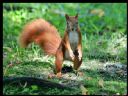 Aparaty cyfrowe: zdj�cia, jaki kupi�, porady : cz. 214 - ewelina_m