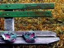 Aparaty cyfrowe: zdj�cia, jaki kupi�, porady : cz. 214 - smuggler