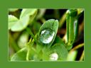 Aparaty cyfrowe: zdj�cia, jaki kupi�, porady : cz. 214 - hubercik015