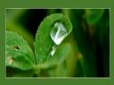 Aparaty cyfrowe: zdj�cia, jaki kupi�, porady : cz. 214 - hubercik015