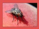 Aparaty cyfrowe: zdj�cia, jaki kupi�, porady : cz. 214 - hubercik015