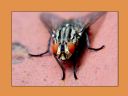 Aparaty cyfrowe: zdj�cia, jaki kupi�, porady : cz. 214 - hubercik015