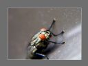 Aparaty cyfrowe: zdj�cia, jaki kupi�, porady : cz. 214 - hubercik015