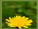 Aparaty cyfrowe: zdj�cia, jaki kupi�, porady : cz. 214 - hubercik015