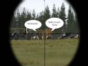 ArmA: Armed Assault [cz�� 57] "Optimal system requirements: SL T_Bone" - Tygrys205