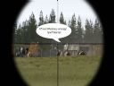 ArmA: Armed Assault [cz�� 57] "Optimal system requirements: SL T_Bone" - Tygrys205