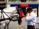 Aparaty cyfrowe: zdj�cia, jaki kupi�, porady : cz. 215 - Elkhart
