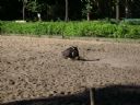 WWWAiS - wiosna w pe�ni(?), a za rogiem czai si� ju� lato... - Gwiazd