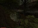 Gothic * Gothic 2 & Noc Kruka * Gothic 3 (cz. 153) - claudespeed18