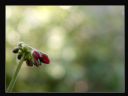Aparaty cyfrowe: zdj�cia, jaki kupi�, porady : cz. 215 - hubercik015