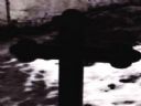 O jaki album mi chodzi? - Behemoth
