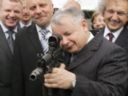 Przeciw czemu protestuje podburzona przez PiS hoota? - Langert