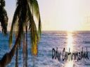 Ddw Cwtwwszdnk. I pozdrowi� wszystkich !!! (843) - 223 - kong123