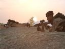 ArmA: Armed Assault [cz�� 74] "!(Czekaj�c na polsk� premier�)" - Mateck
