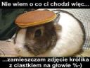 Ateista w Ko�ciele? - Warrek333