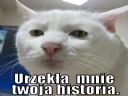 Afle s�ysza�em  tooo - trauma - nie zasne :( - ProTyp