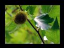 Aparaty cyfrowe: zdj�cia, jaki kupi�, porady : cz. 159 - smuggler