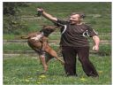 Aparaty cyfrowe: zdj�cia, jaki kupi�, porady : cz. 159 - Sir-Torpeda