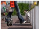 Aparaty cyfrowe: zdj�cia, jaki kupi�, porady : cz. 159 - Sir-Torpeda