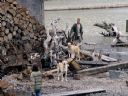 Filmo�ercy - jaki to film? :::klaps 344::: - sparrhawk