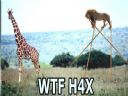 SZKO�A HAKER�W - co to?? - Aceofbase